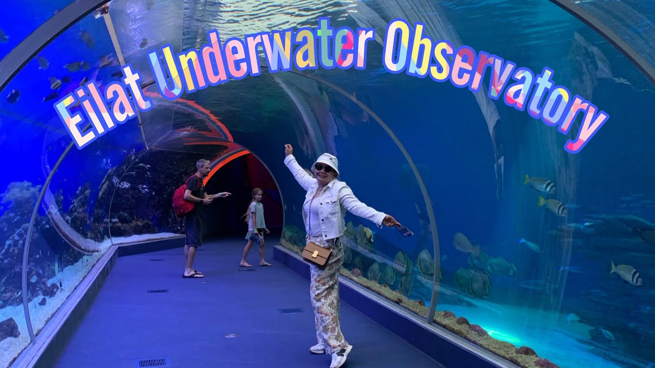 Eilat Underwater Observatory