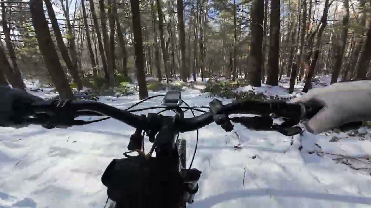 Spooky Forest (Snow Ride): Leominster State Forest Massachusetts Mountain Biking (MTB) 4K