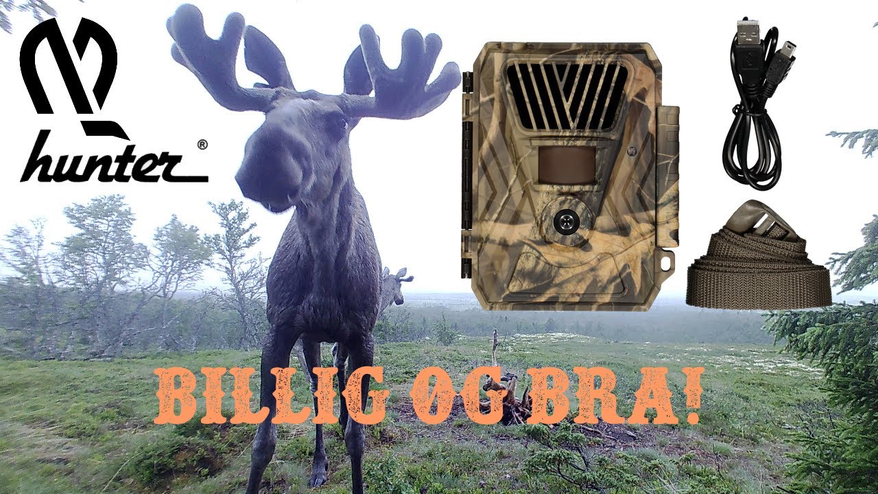 Alt Du Trenger Å Vite - Hunter Basic Trailcam