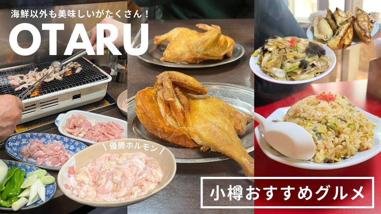 小樽おすすめグルメ｜小樽は海鮮だけじゃない！美味しい名物たくさん食べる🍗🥟優勝ホルモンに出会えて超ハッピー！｜vlog｜kuilog