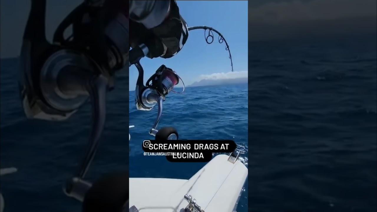 Fishing hard 