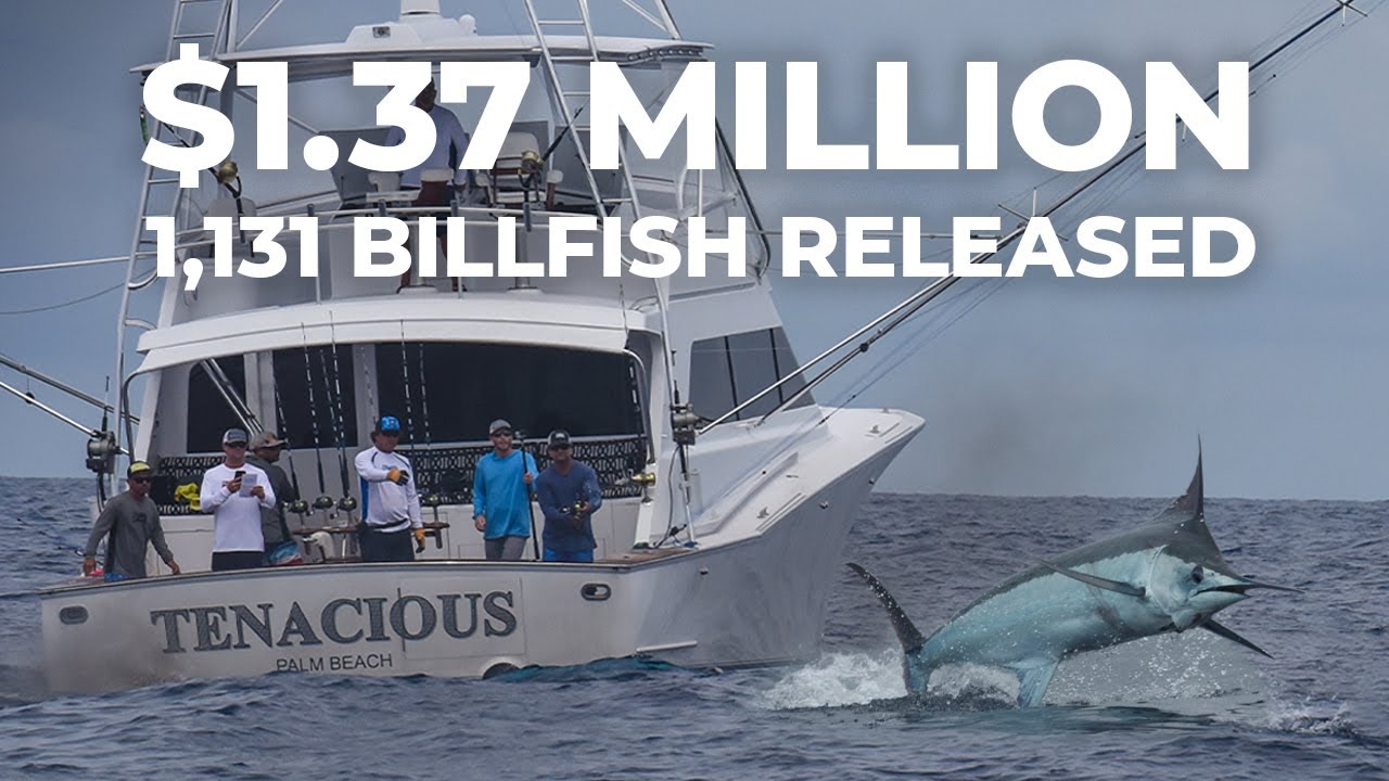COSTA RICA'S LARGEST & RICHEST FISHING TOURNAMENT - PELAGIC ROCKSTAR OFFSHORE TOURNAMENT