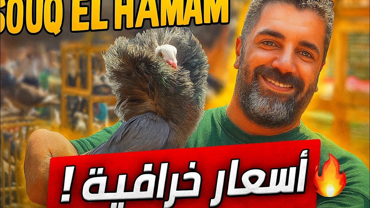 	سوق الحمام في دمياط مولع نار 🔥 شوف الأسعار والحمام الغالي والرخيص