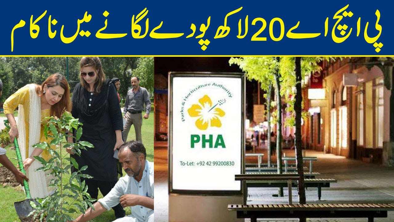 PHA fails to planting 2 million trees