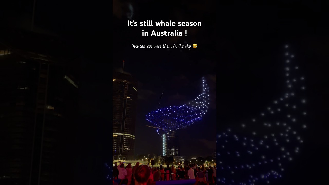 Brisbane Festival 🤩 #australia #brisbane #festival #droneshow #amazing #whale #show #queensland