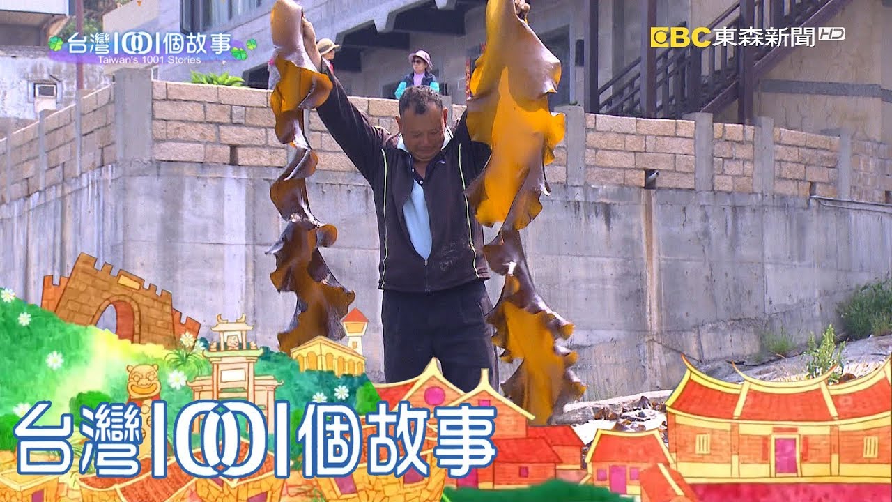 北竿海域水質好養分足 烏亮昆布大豐收 part3 台灣1001個故事