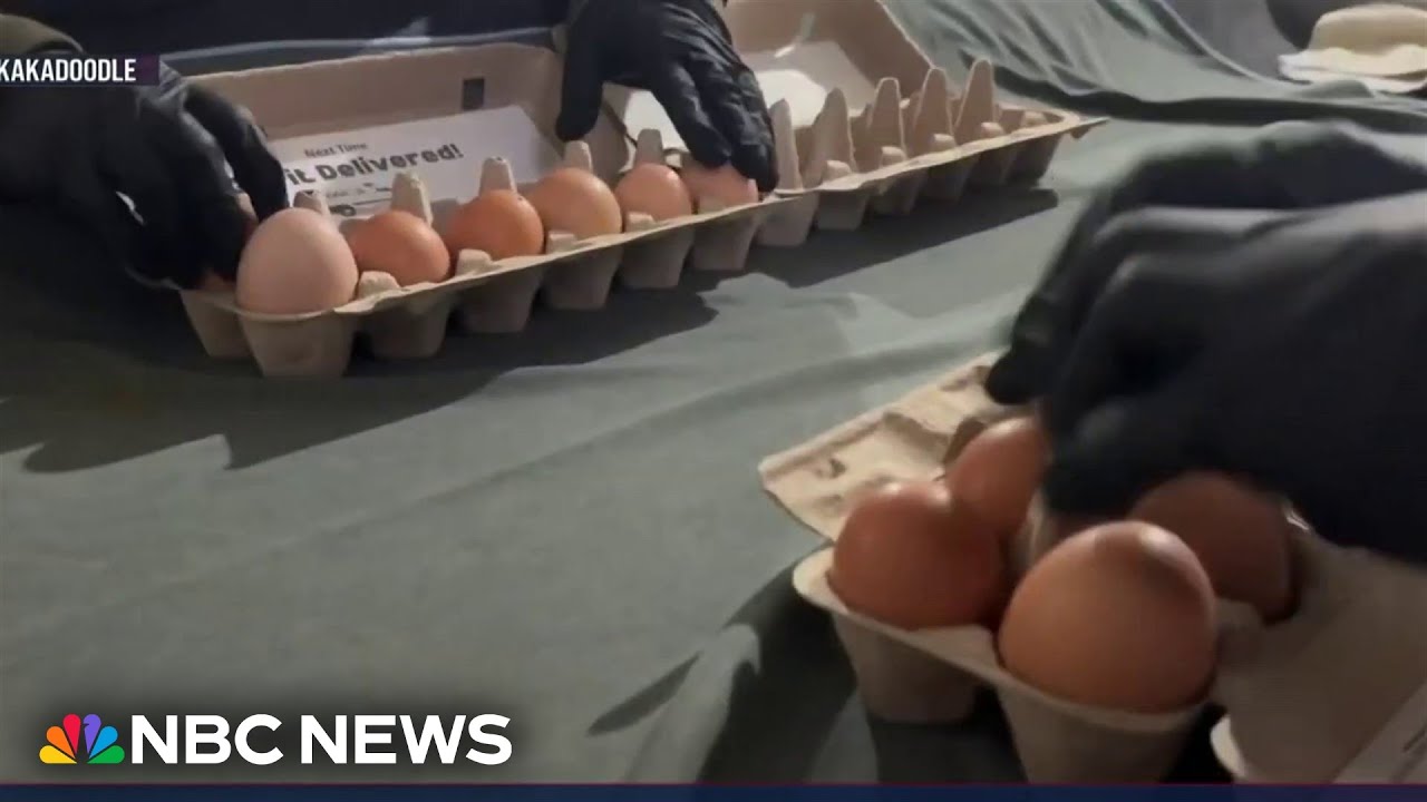 How one family-run farm is struggling to stay afloat amid bird flu and USDA funding freeze