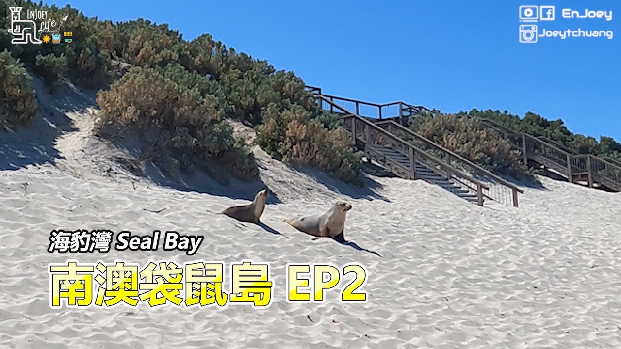 袋鼠島 Kangaroo Island EP2 | 海豹灣 Seal Bay | 南澳 South Australia | 啾愛玩 EnJoey