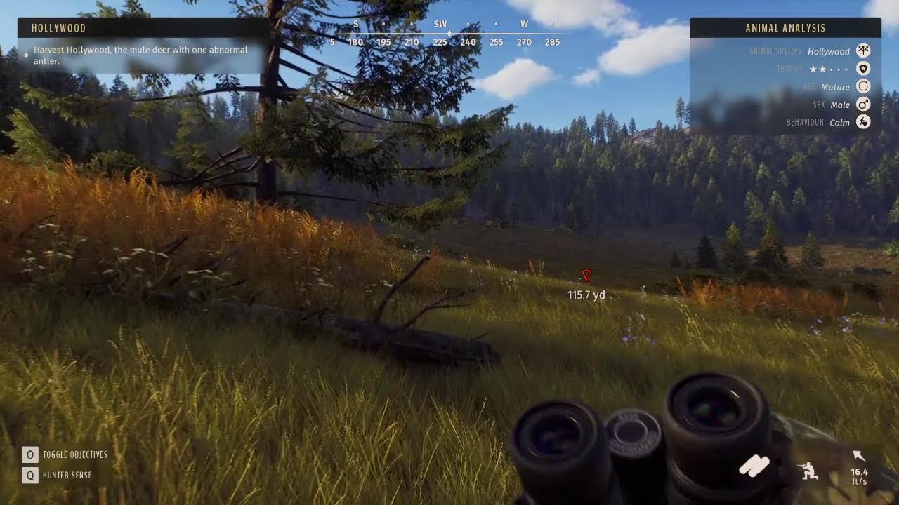 way of the hunter