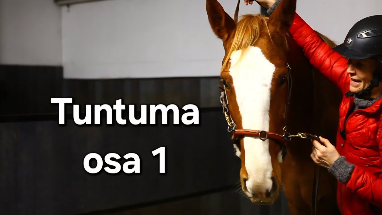 #9 Winnien matka tasapainoon