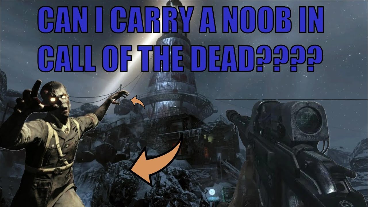 Can I Carry a Noob Through Call Of The Dead?