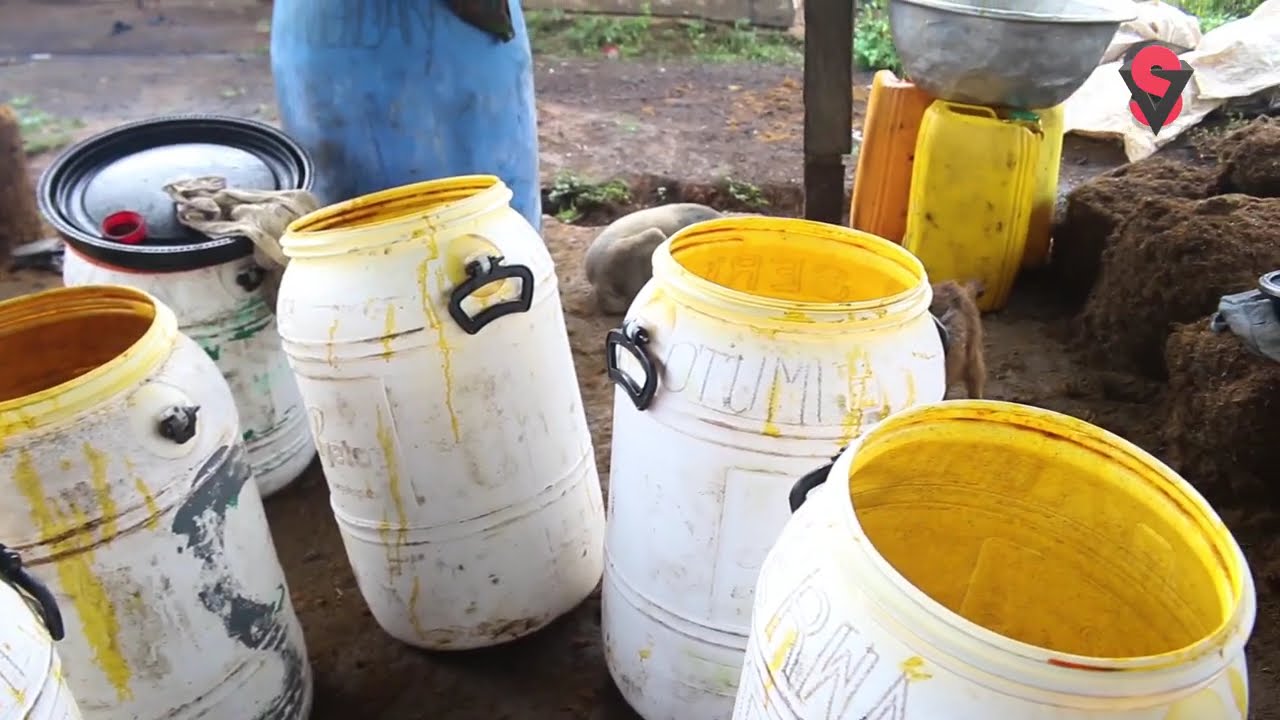 Deadliest Roads Behind Palm Oil Industry