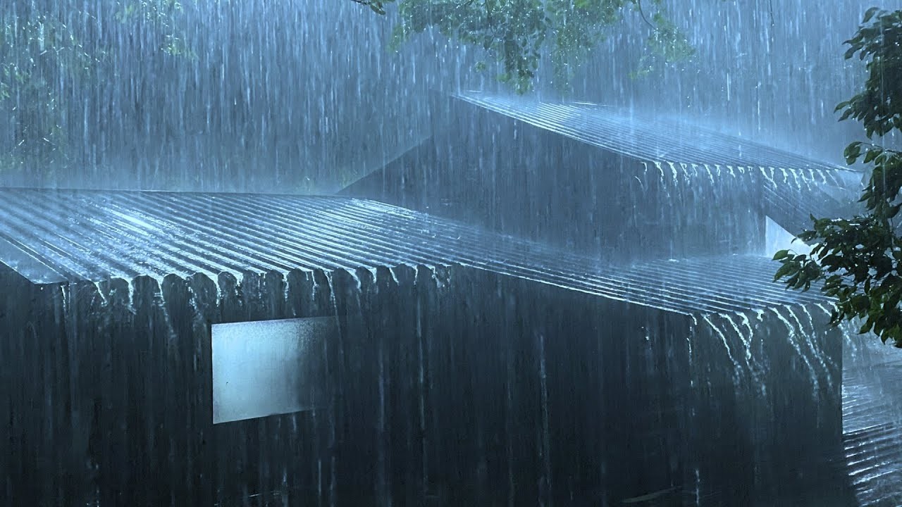 Goodbye insomnia with the scariest storm, heavy rain, strong wind, thunder sound