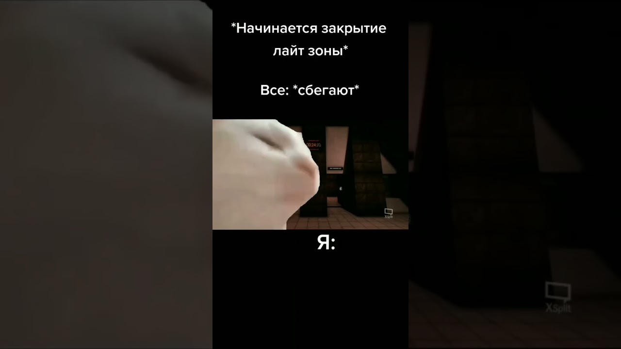 scp sl meme 