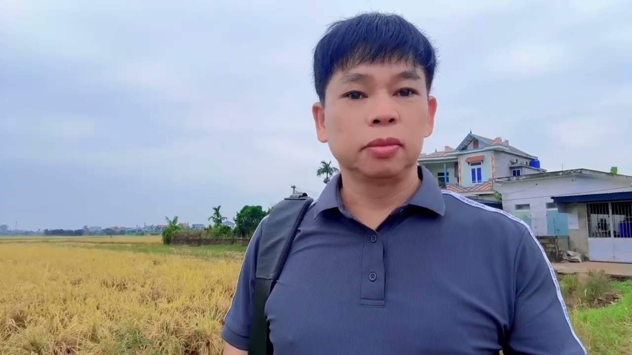 Quê hương Thái bình