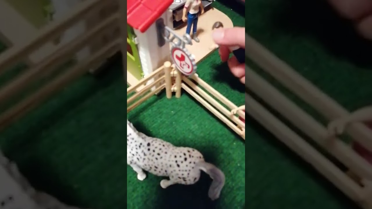 mit Emma und Iuna Schleich  spielen
