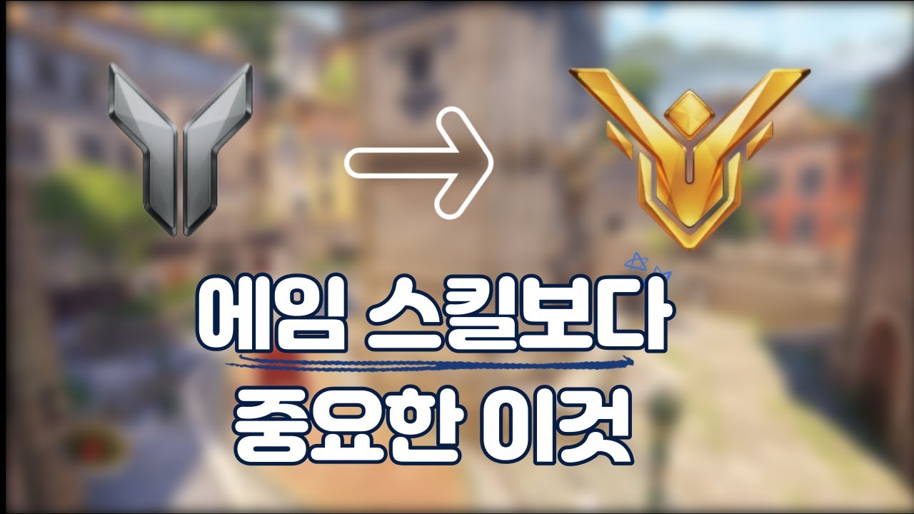 오버워치 실버 트레이서 피드백