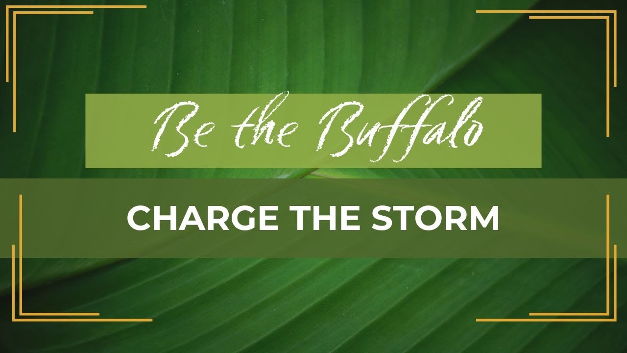 Be the Buffalo: Charge the storm and don't let your fears take over!