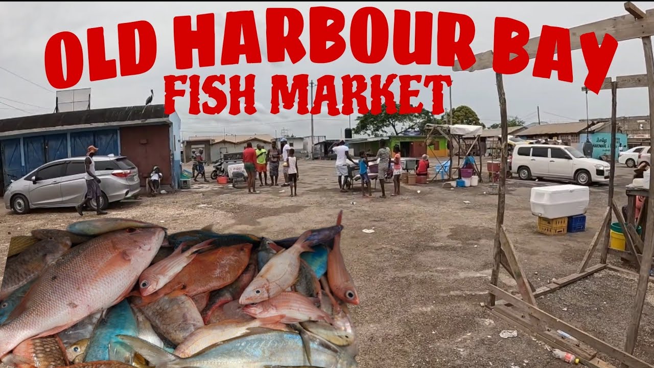 EXPLORING JAMAICA'S LARGEST FISHING VILLAGE🇯🇲🇯🇲!!!#jamaica #fishing #seafood #adventure #explore