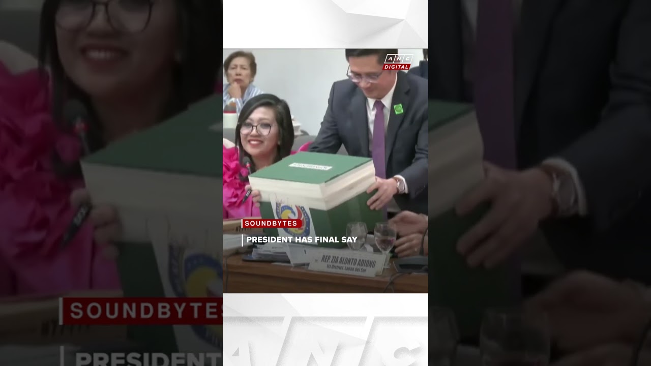 Ex-BIR chief: President must authorize release of tax records of public officials | ANC