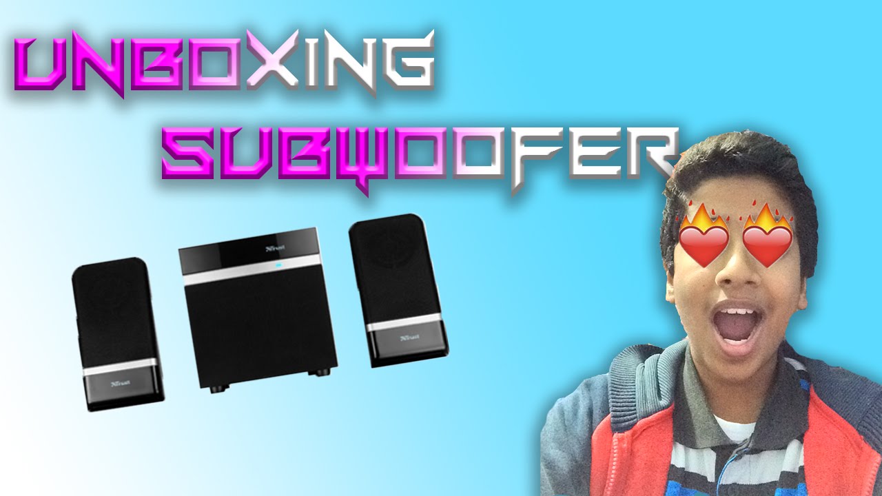 Subwoofer Unboxing - Does it suck ?