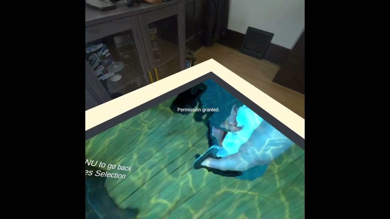Local AI Computer Vision on the Meta Quest 3