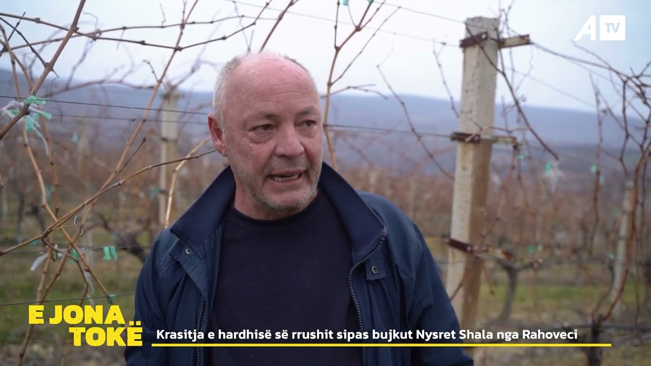 Krasitja e hardhisë së rrushit sipas bujkut Nysret Shala nga Rahoveci