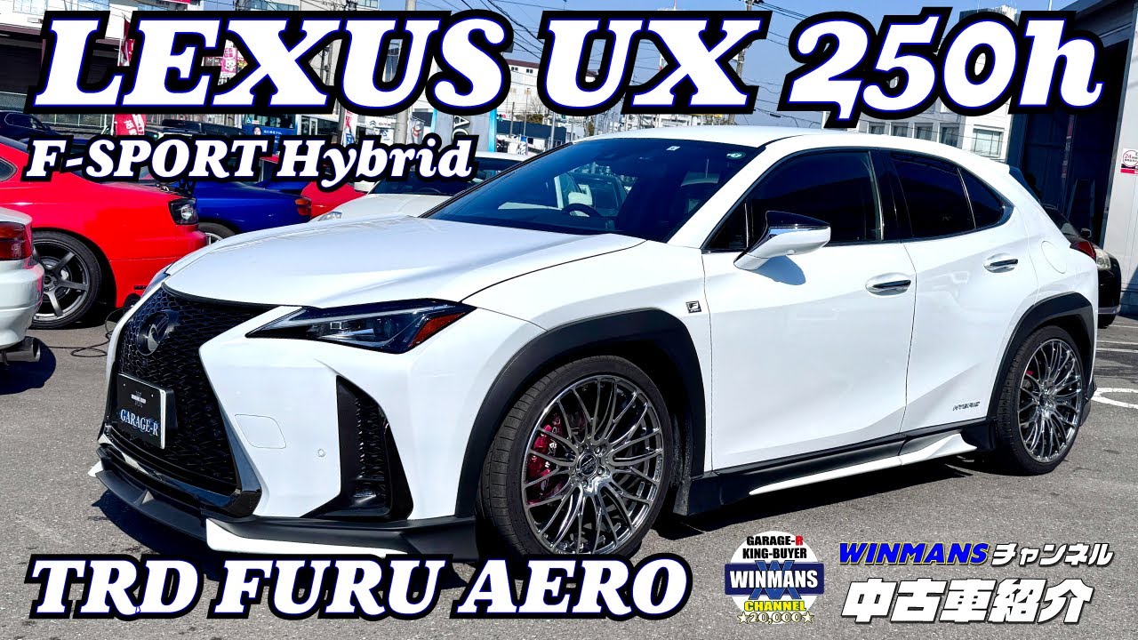 【LEXUS UX 250h F-Sport Hibrid】レクサスUXのTRDフルエアロ車両の紹介！本当に最近の車は性能もデザインも抜群にいいですね！そんなUXをじっくり見てみました#lexusux