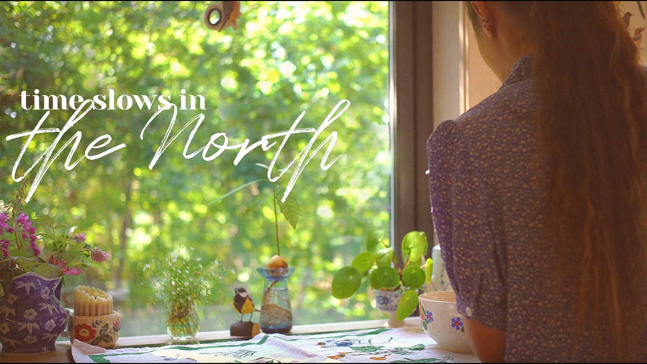 The Cabin Where Forest Creatures Pass and Birds Sing a Pretty Song - Slow Living Vlog