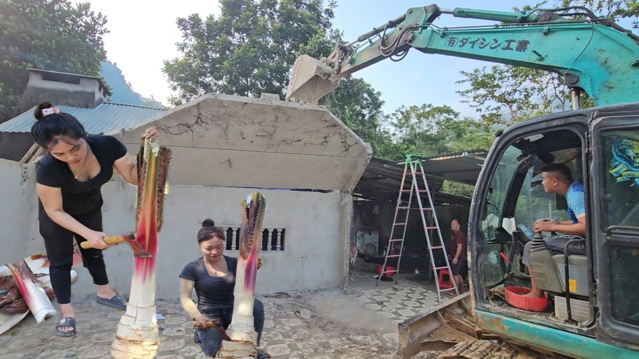 How excavators and trucks level the ground for building houses
