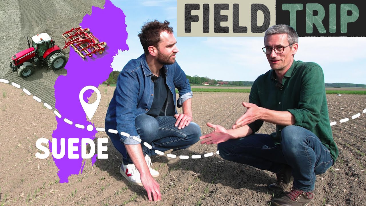 Agriculture sans pesticides : les grands défis sur le terrain 🇪🇺