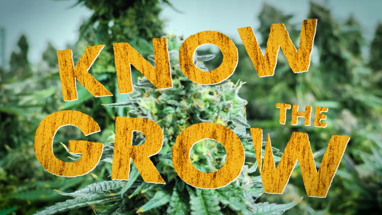 Know the Grow: Banana Punch