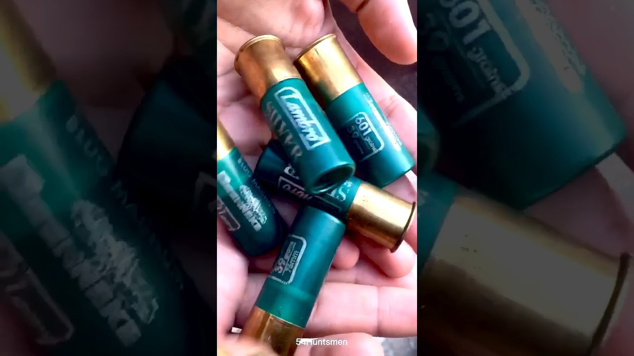 Shotgun shells 
