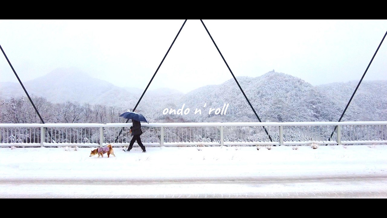 雪【柴犬の音頭】