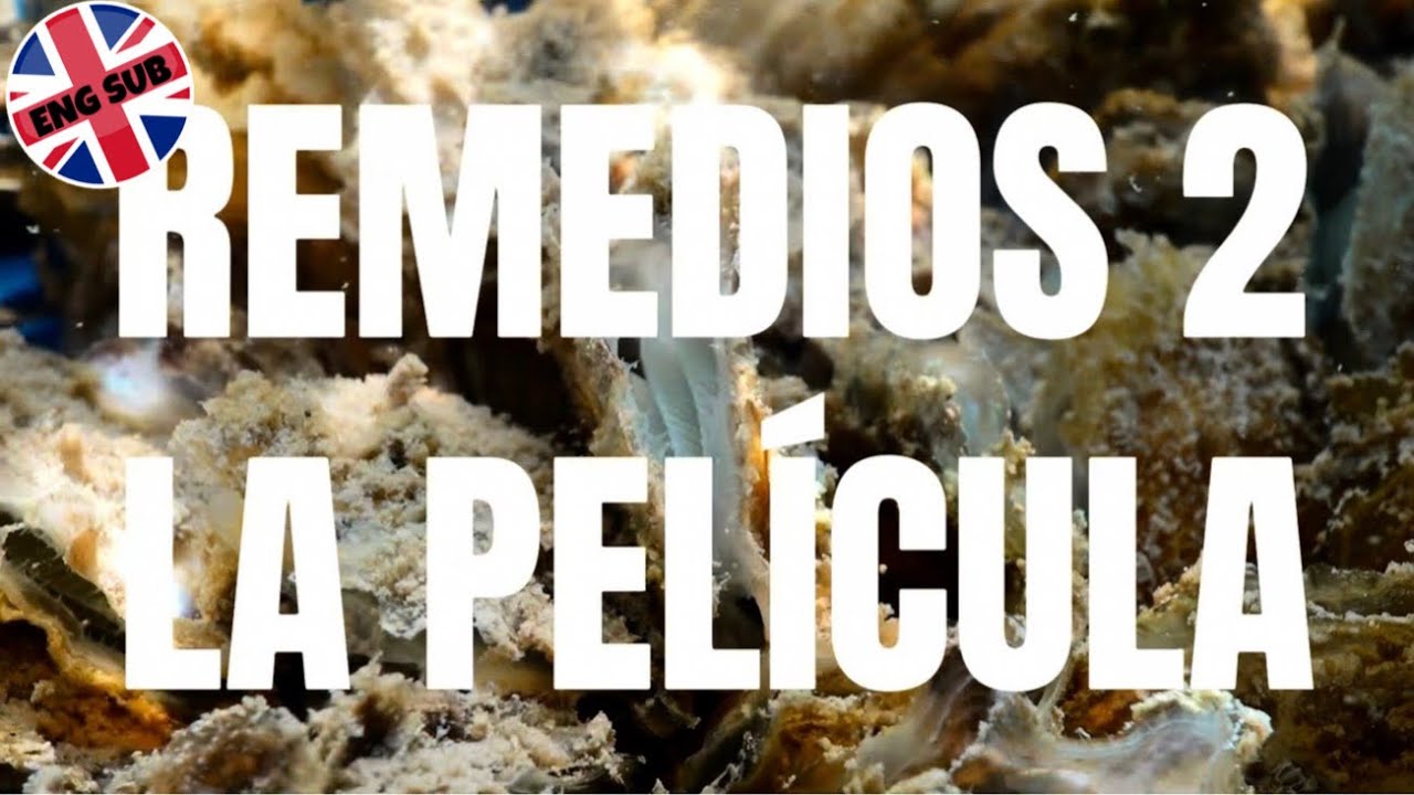 RemediOS-2 THE MOVIE. ENGLISH SUBTITLES 🦪🌊