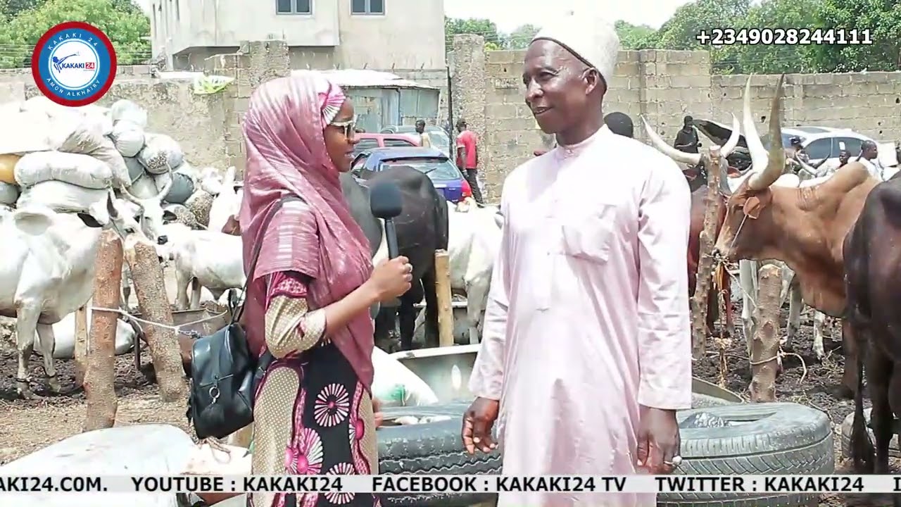 Yadda farashin Dabbobi suke a kasuwar Dabbobi dake Gandun Albasa a jihar Kano