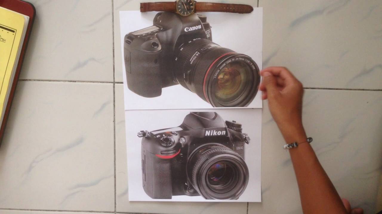 CANON 6D VS NIKON D600 (EG)