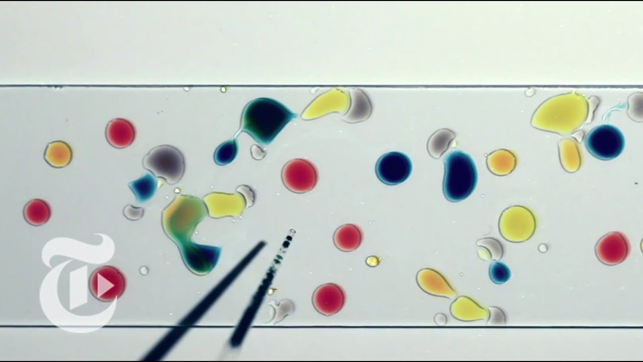 The Physics of Droplets | ScienceTake | The New York Times