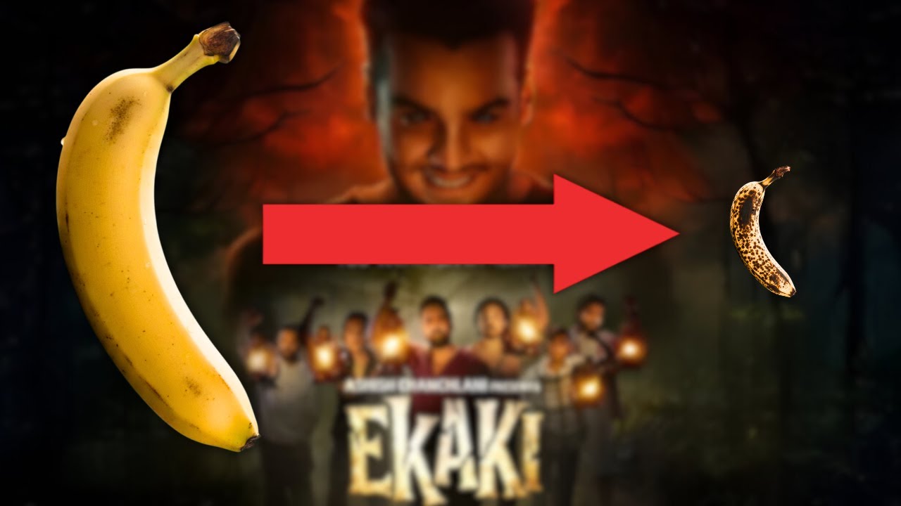 Would You Rather Watch Ekaki Or Get a Pennis Reduction Surgery ?