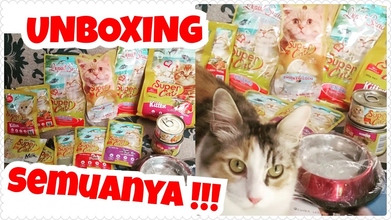 Review SuperCat Makanan Kucing ! Premium ya, tapi kok cuma segini nih??