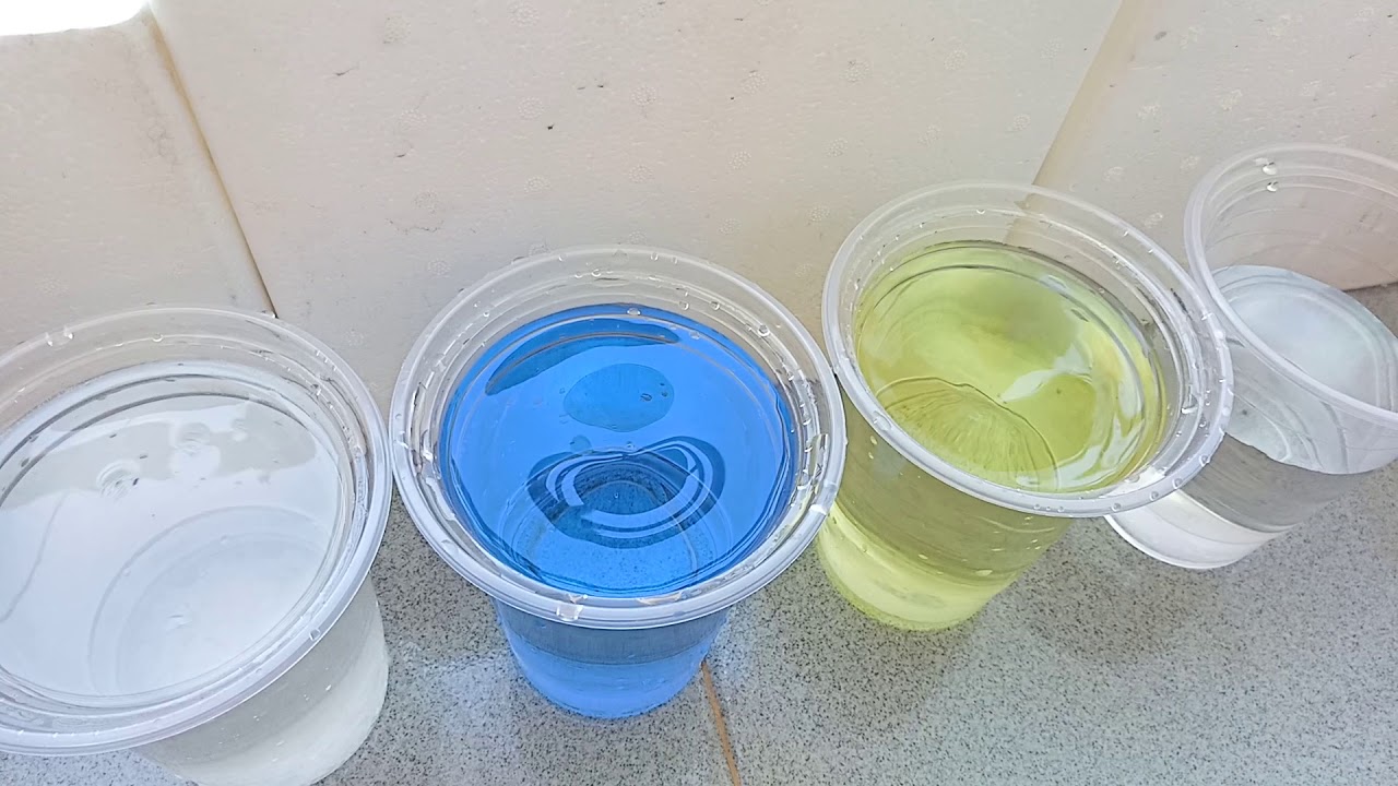 Nấm cá betta cách trị đơn giản trong 24 tiếng.
