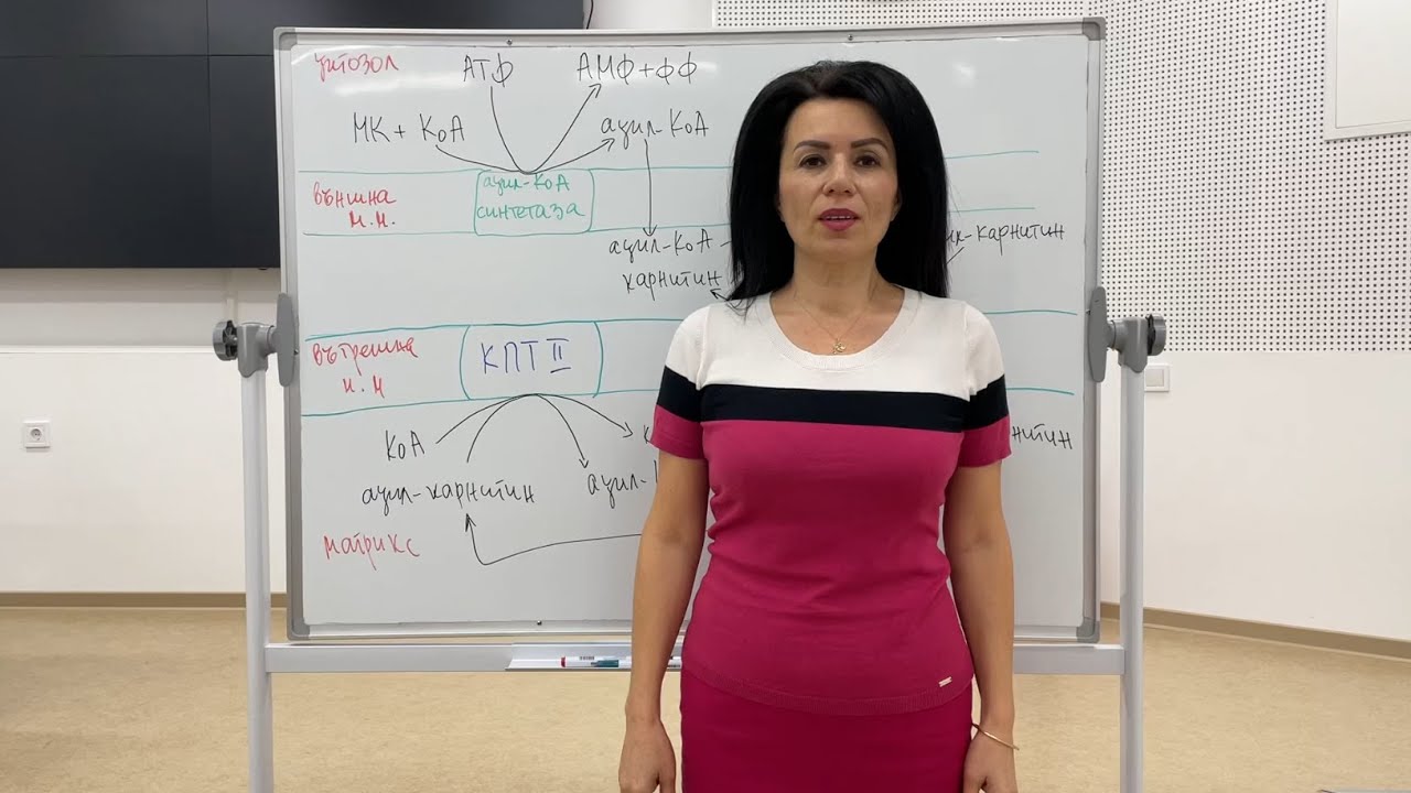 Окисление на мастни киселини / Fatty acids oxidation