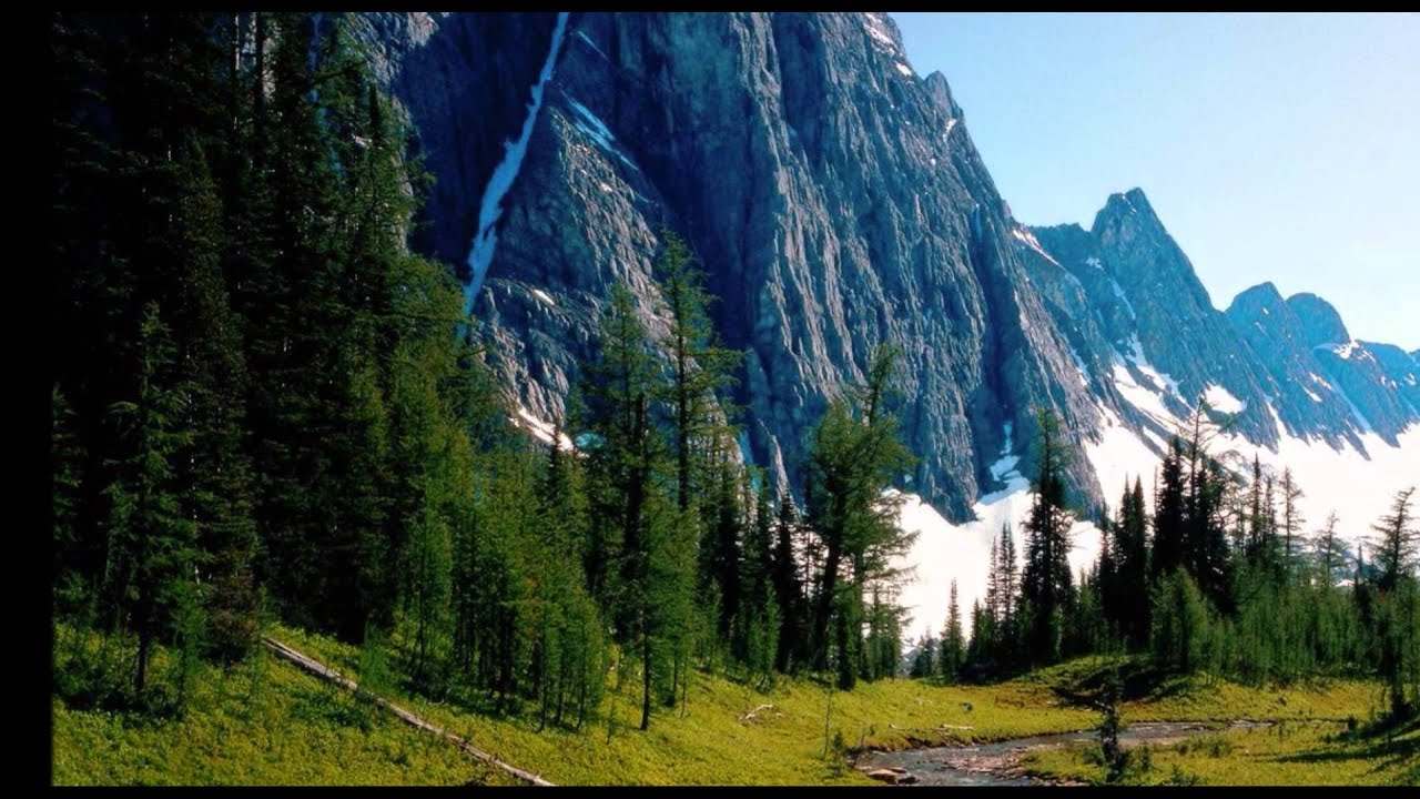 Sergey Nevone - Nature (Simon O'Shine Remix)