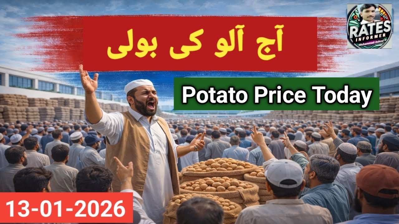 What is TODAY'S Potato Price in Pakistan? Sabzi Mandi Update