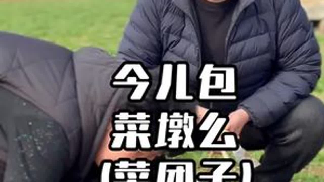 今儿做的豆面野菜团子是真的香 #记录好好的自己 #新农人计划2025 #农村美食  #春天的味道 #野菜美食