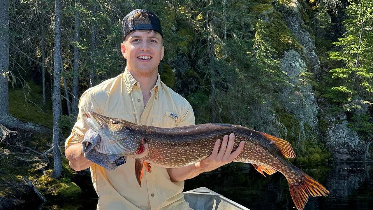 Fly-In Fishing for Walley and Pike Deep in the Remote Canada Backcountry with Wilderness Air Escapes