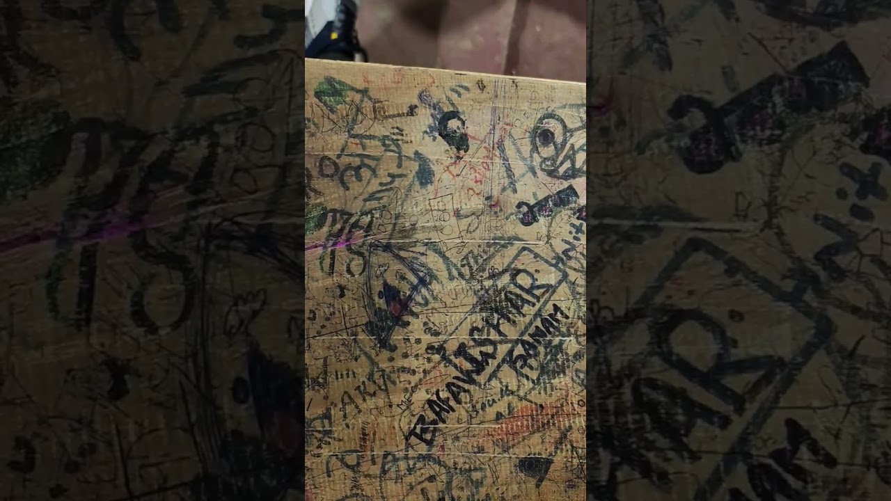 CLASS 11th snapshot chapter-3 mother's day Full explanation by Mukesh sir 