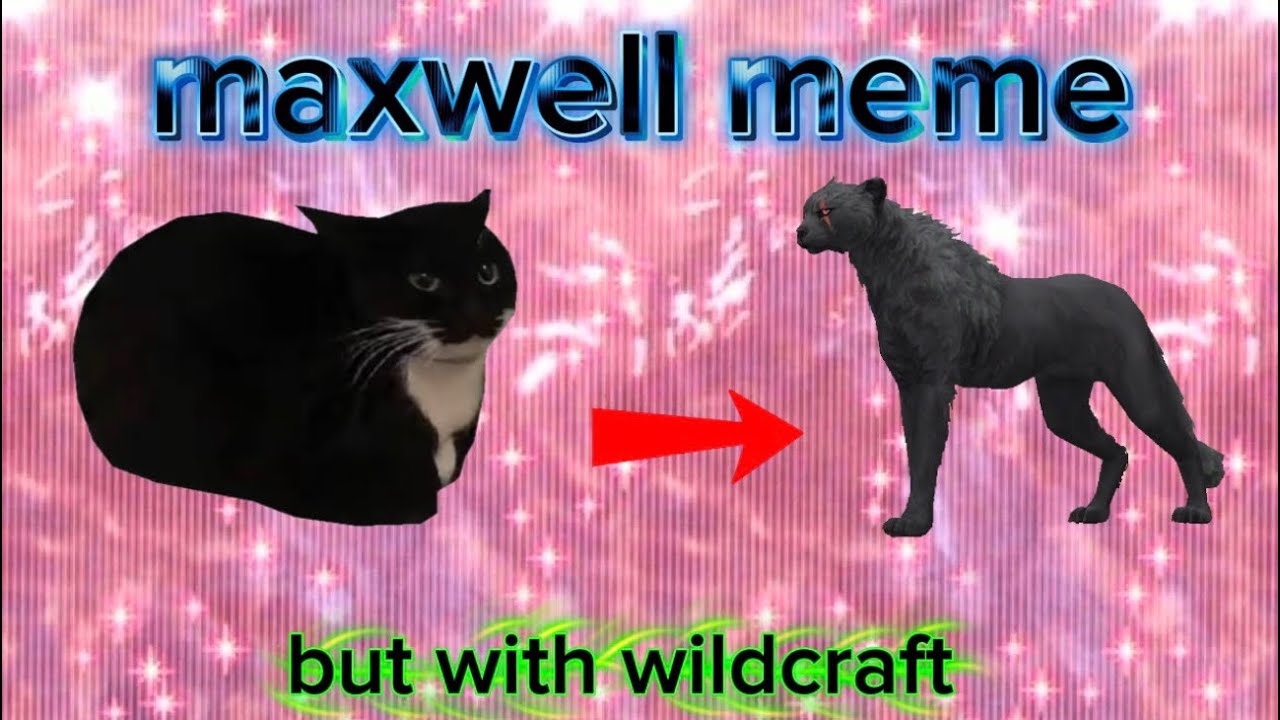 maxwell meme,but with wildcraft!