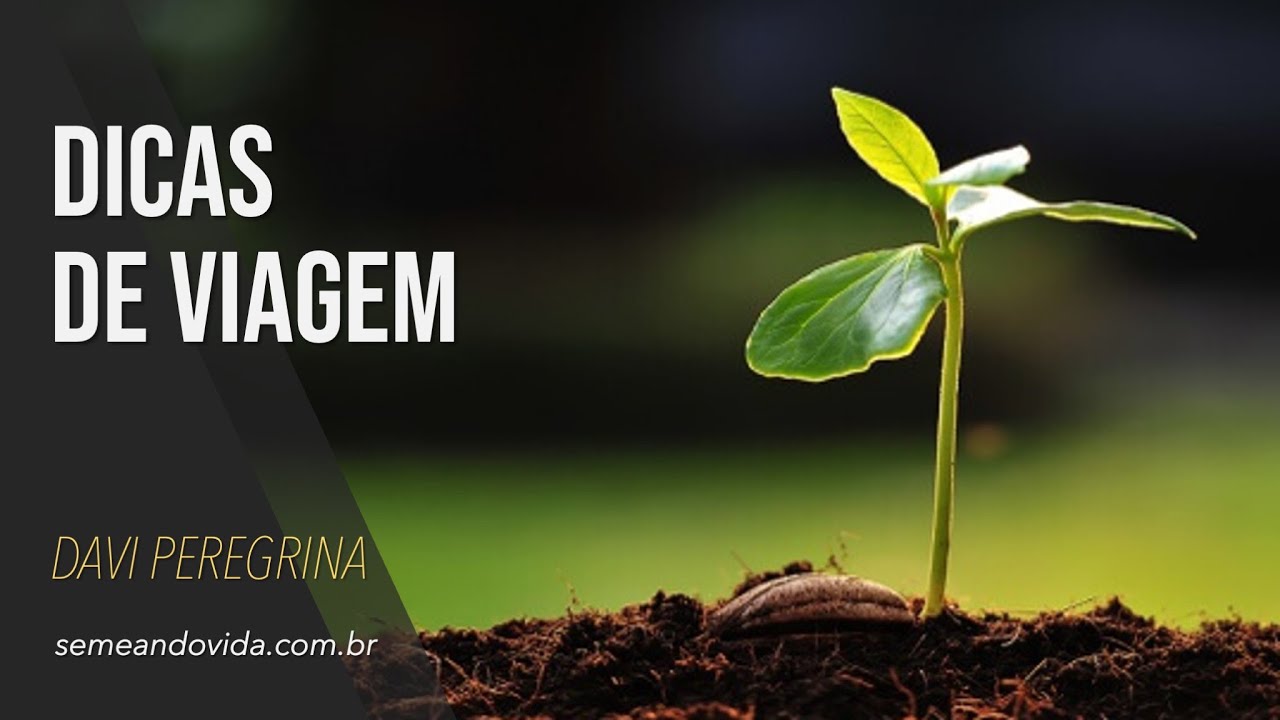 Dicas de Viagem