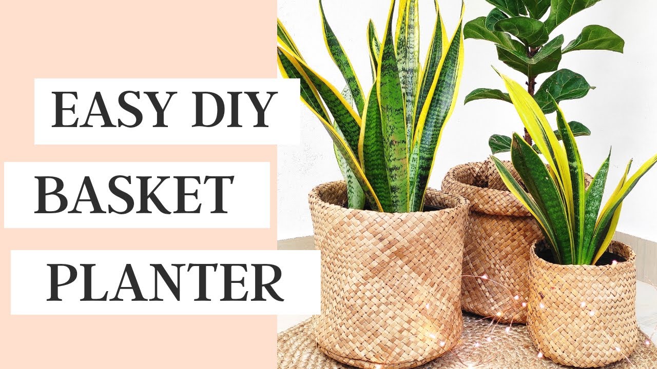ll DIY Basket Planter ll No more ugly planters.